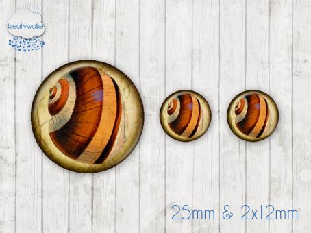 Motiv-Cabochon Set 243 