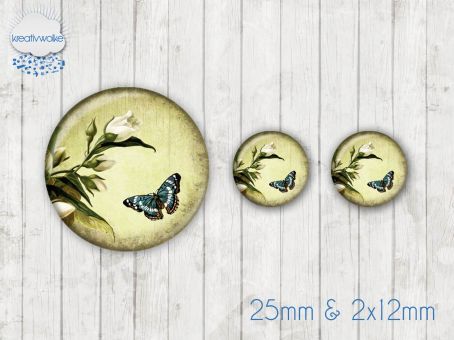 Motiv-Cabochon Set 290 